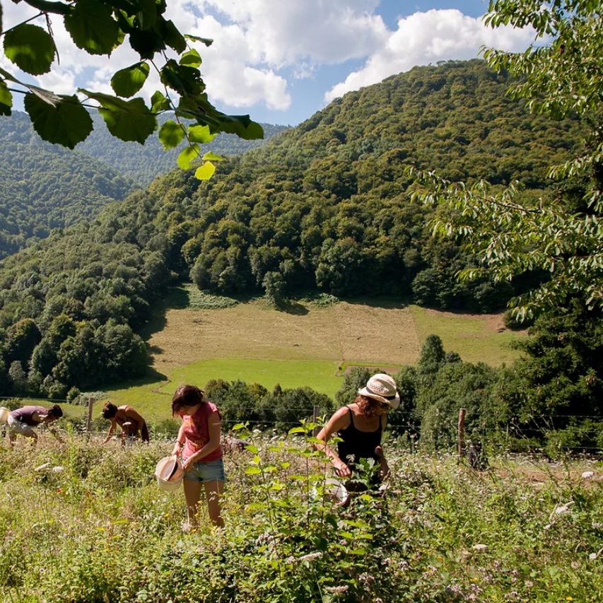 La Ferme de la Coume