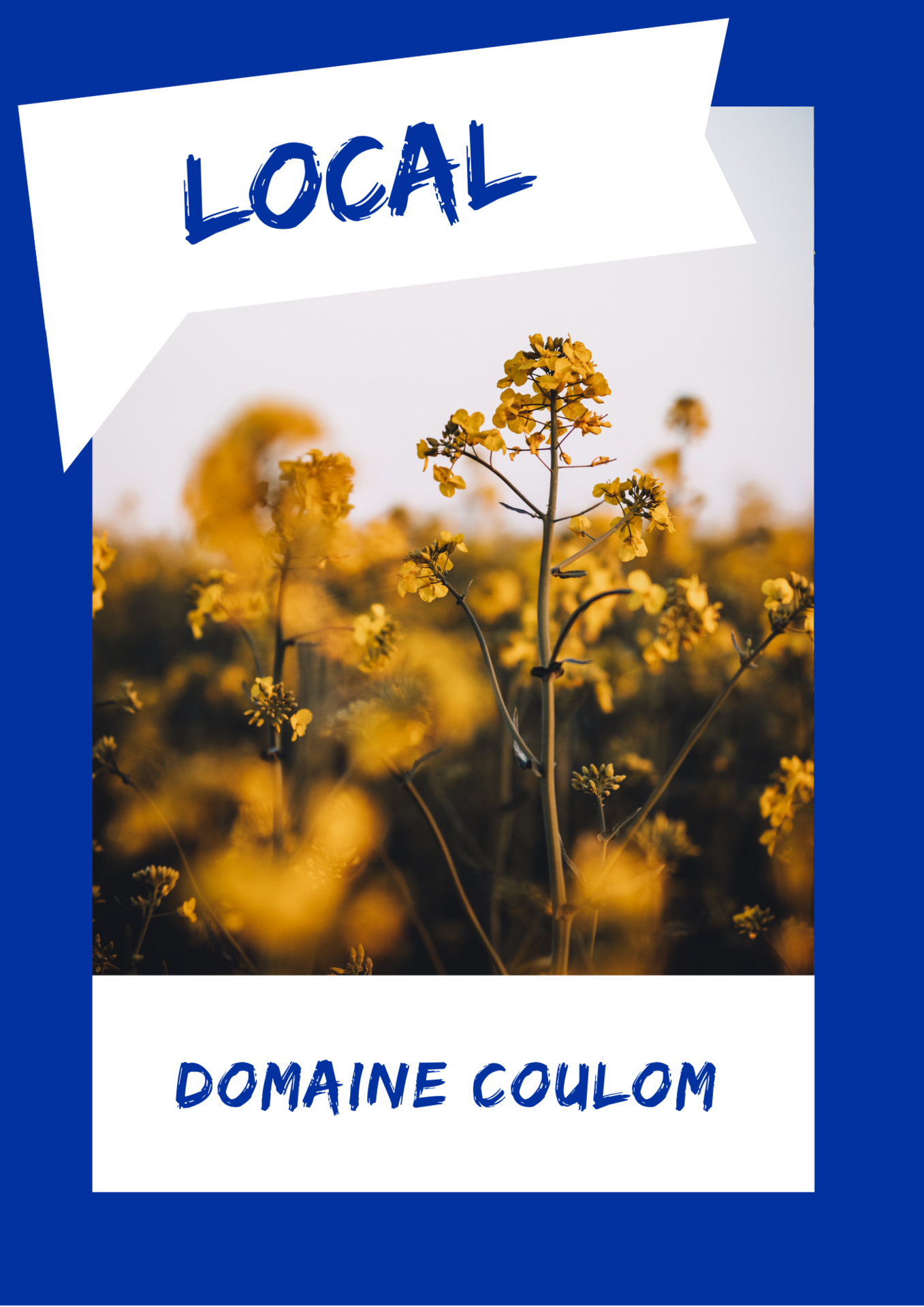 DOMAINE COULOM