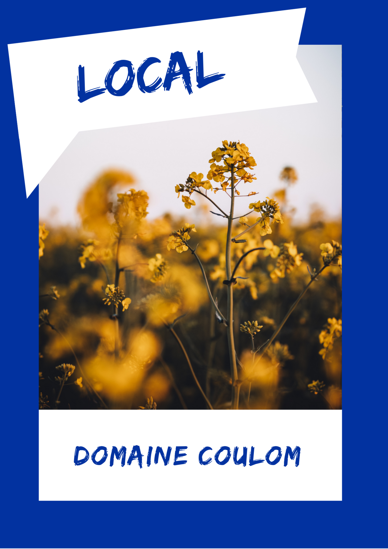 DOMAINE COULOM DOMAINE COULOM