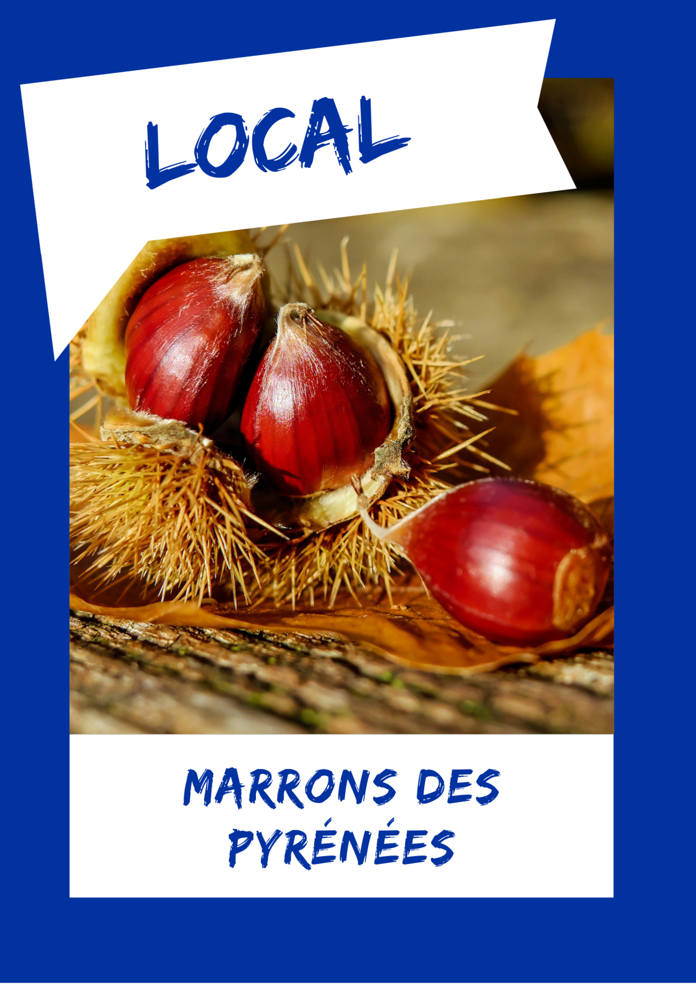 MARRONS DES PYRÉNÉES MARRONS DES PYRÉNÉES