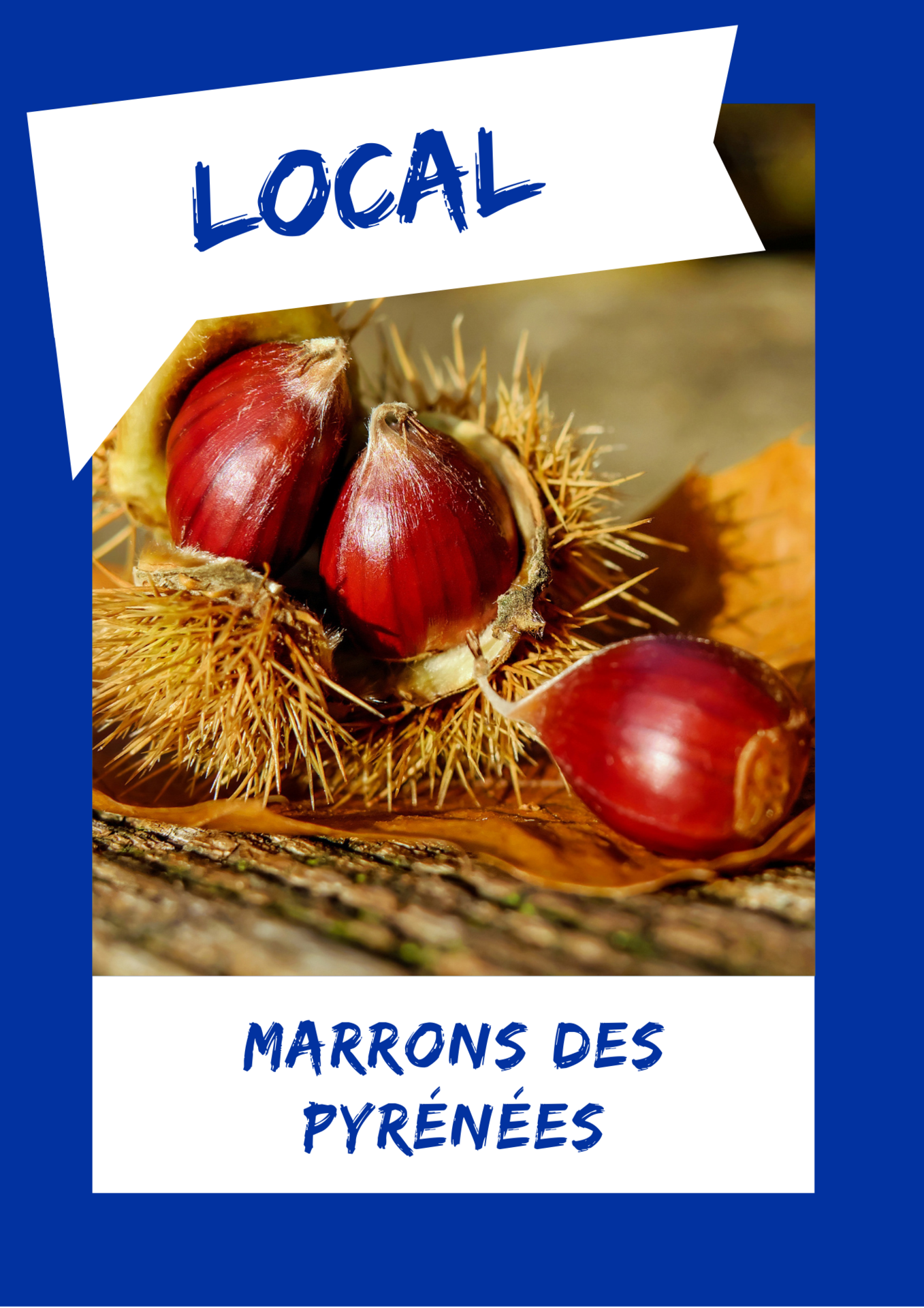 MARRONS DES PYRÉNÉES