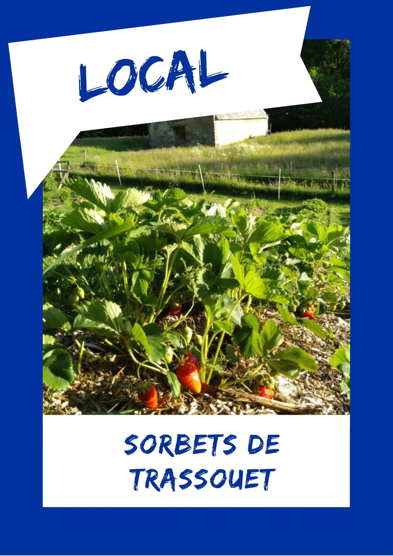 SORBETS DE TRASSOUET SORBETS DE TRASSOUET
