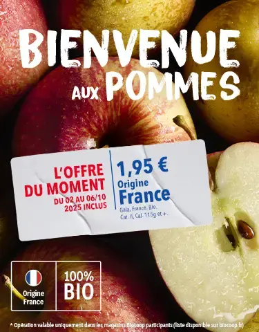 OP FEL Automne 2025 - Pommes