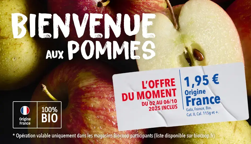 OP FEL Automne 2025 - Pommes